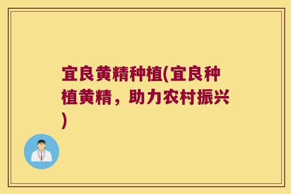 宜良黄精种植(宜良种植黄精,助力农村振兴) 宜良黄精种植(宜良种植黄精,助力农村振兴)