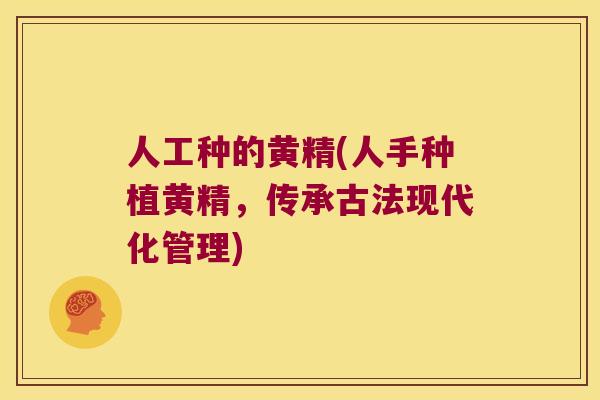 人工种的黄精(人手种植黄精，传承古法现代化管理)