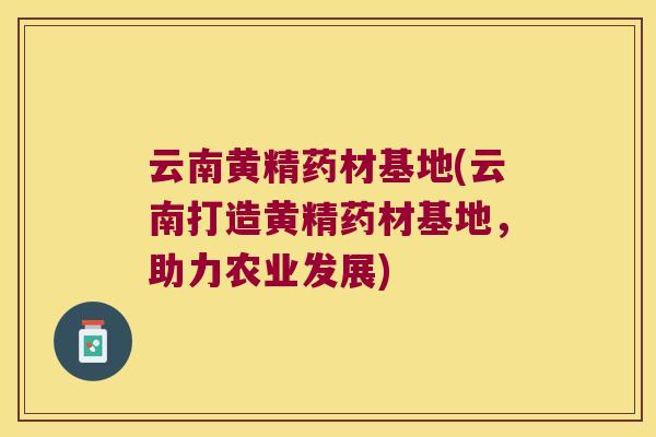 云南黄精药材基地(云南打造黄精药材基地，助力农业发展)