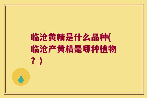 临沧黄精是什么品种(临沧产黄精是哪种植物？)