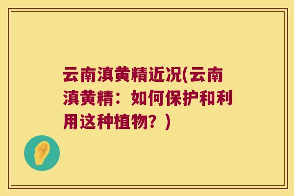 云南滇黄精近况(云南滇黄精：如何保护和利用这种植物？)