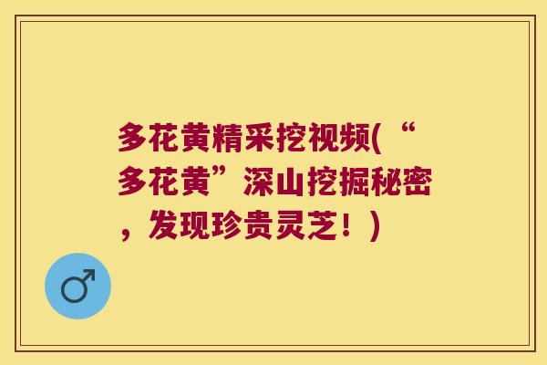 多花黄精采挖视频(“多花黄”深山挖掘秘密,发现珍贵灵芝!) 多花黄精采挖视频(“多花黄”深山挖掘秘密,发现珍贵灵芝!)