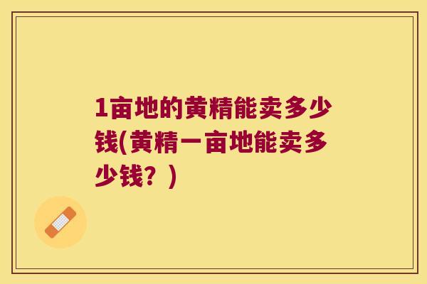 1亩地的黄精能卖多少钱(黄精一亩地能卖多少钱？)