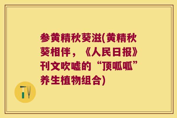 参黄精秋葵滋(黄精秋葵相伴，《人民日报》刊文吹嘘的“顶呱呱”养生植物组合)