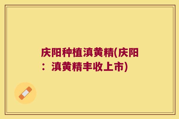 庆阳种植滇黄精(庆阳：滇黄精丰收上市)
