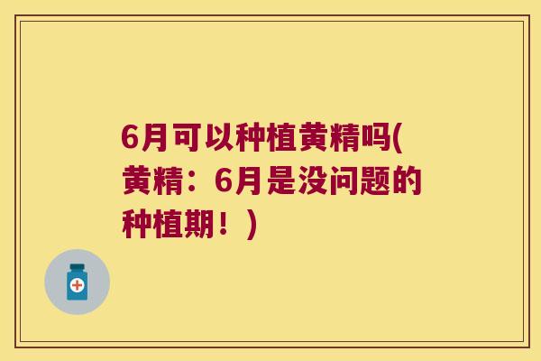 6月可以种植黄精吗(黄精：6月是没问题的种植期！)