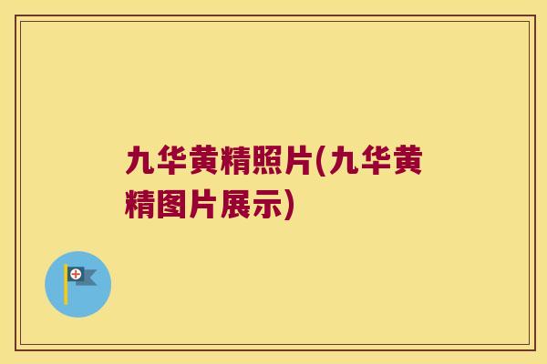 九华黄精照片(九华黄精图片展示)