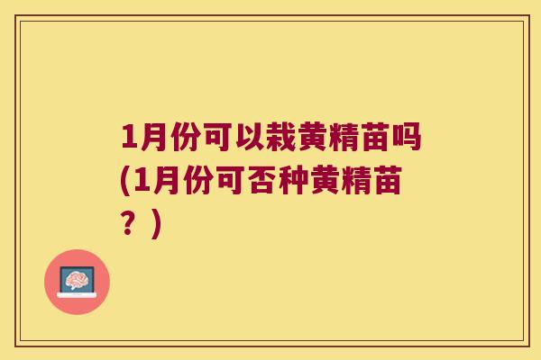 1月份可以栽黄精苗吗(1月份可否种黄精苗?) 1月份可以栽黄精苗吗(1月份可否种黄精苗?)