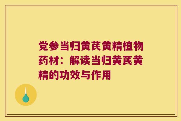 党参当归黄芪黄精植物药材：解读当归黄芪黄精的功效与作用