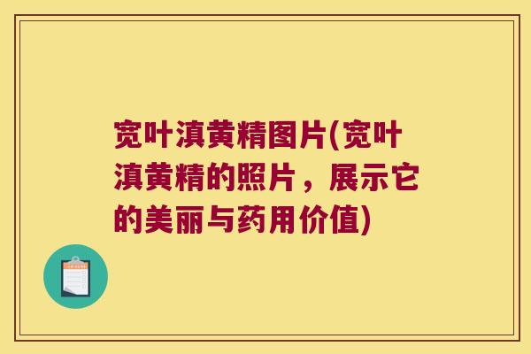 宽叶滇黄精图片(宽叶滇黄精的照片，展示它的美丽与药用价值)