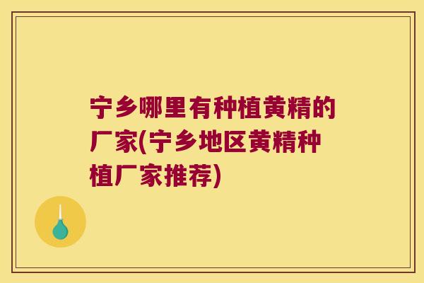 宁乡哪里有种植黄精的厂家(宁乡地区黄精种植厂家推荐) 宁乡哪里有种植黄精的厂家(宁乡地区黄精种植厂家推荐)