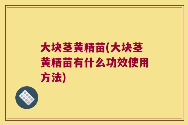 大块茎黄精苗(大块茎黄精苗有什么功效使用方法) 大块茎黄精苗(大块茎黄精苗有什么功效使用方法)