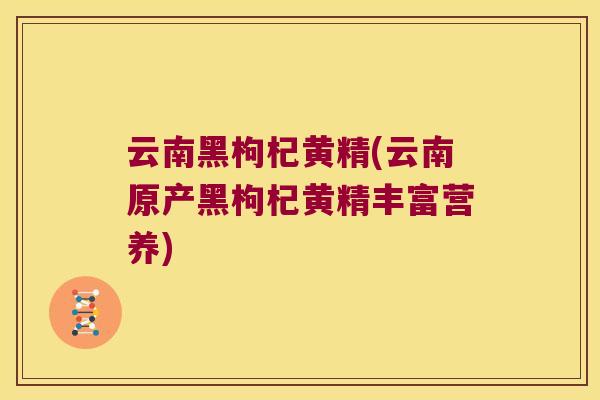 云南黑枸杞黄精(云南原产黑枸杞黄精丰富营养)