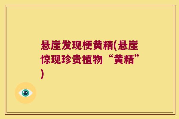 悬崖发现梗黄精(悬崖惊现珍贵植物“黄精”)