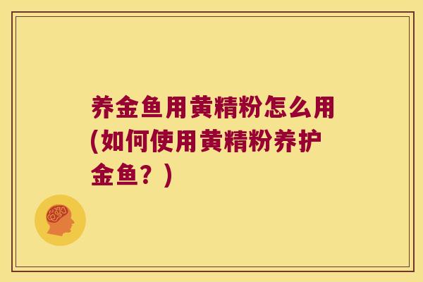 养金鱼用黄精粉怎么用(如何使用黄精粉养护金鱼？)