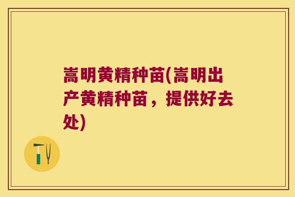 嵩明黄精种苗(嵩明出产黄精种苗,提供好去处) 嵩明黄精种苗(嵩明出产黄精种苗,提供好去处)