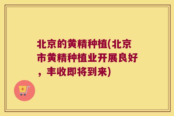 北京的黄精种植(北京市黄精种植业开展良好，丰收即将到来)
