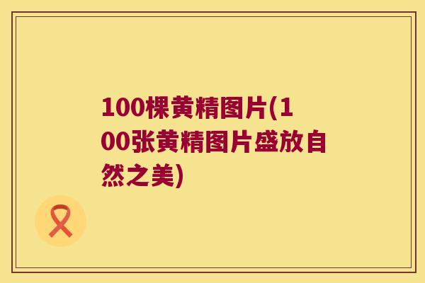 100棵黄精图片(100张黄精图片盛放自然之美)
