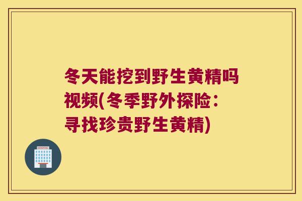 冬天能挖到野生黄精吗视频(冬季野外探险：寻找珍贵野生黄精)