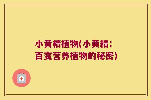 小黄精植物(小黄精：百变营养植物的秘密)