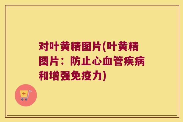 对叶黄精图片(叶黄精图片:防止心和增强力) 对叶黄精图片(叶黄精图片:防止心和增强力)