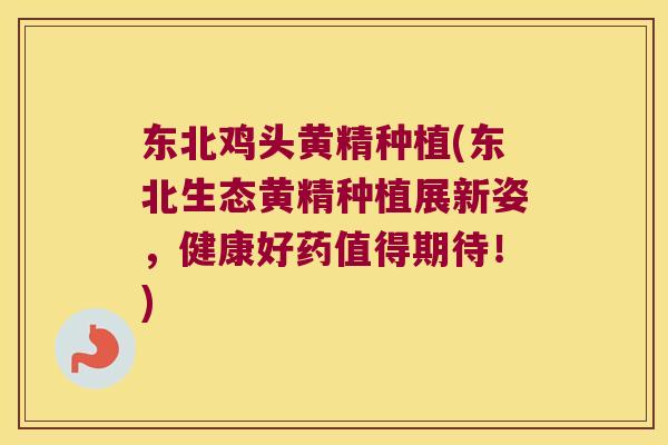 东北鸡头黄精种植(东北生态黄精种植展新姿，健康好药值得期待！)