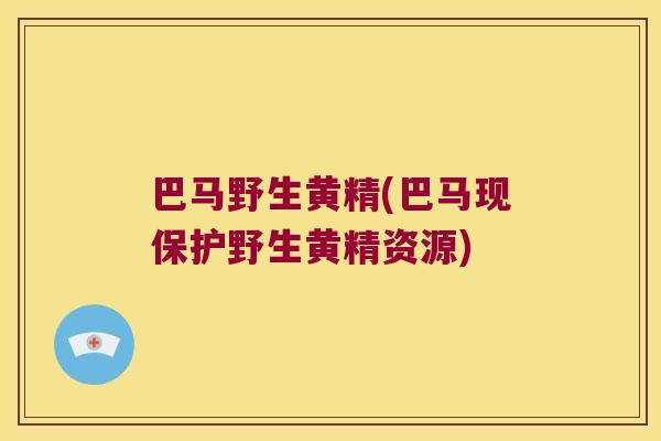 巴马野生黄精(巴马现保护野生黄精资源) 巴马野生黄精(巴马现保护野生黄精资源)