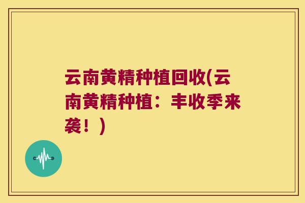 云南黄精种植回收(云南黄精种植：丰收季来袭！)