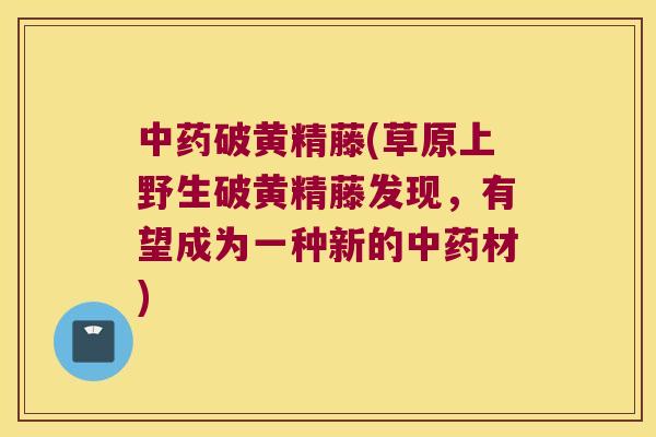 破黄精藤(草原上野生破黄精藤发现,有望成为一种新的材) 破黄精藤(草原上野生破黄精藤发现,有望成为一种新的材)