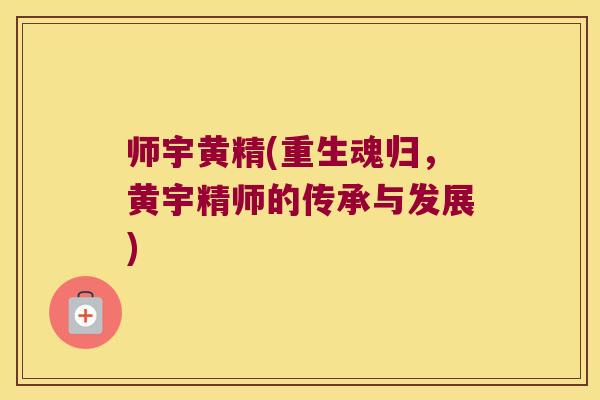 师宇黄精(重生魂归，黄宇精师的传承与发展)