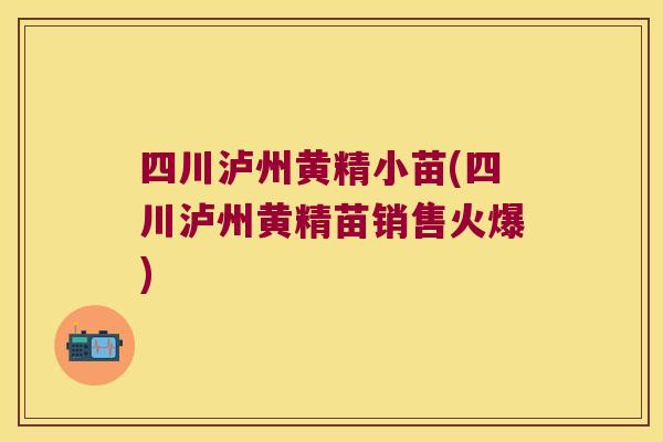 四川泸州黄精小苗(四川泸州黄精苗销售火爆)