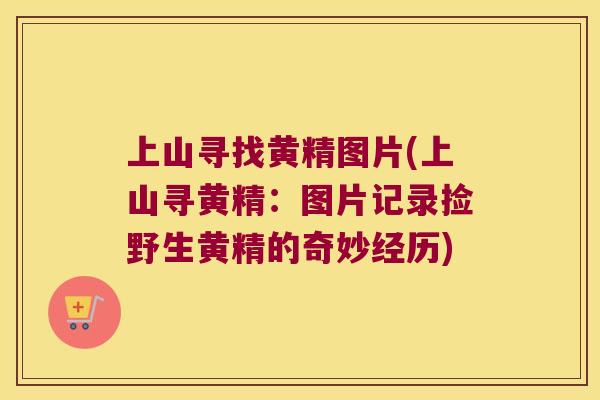 上山寻找黄精图片(上山寻黄精:图片记录捡野生黄精的奇妙经历) 上山寻找黄精图片(上山寻黄精:图片记录捡野生黄精的奇妙经历)
