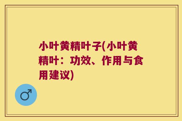 小叶黄精叶子(小叶黄精叶：功效、作用与食用建议)
