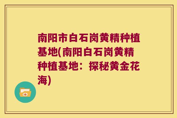 南阳市白石岗黄精种植基地(南阳白石岗黄精种植基地:探秘黄金花海) 南阳市白石岗黄精种植基地(南阳白石岗黄精种植基地:探秘黄金花海)
