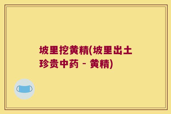 坡里挖黄精(坡里出土珍贵 - 黄精)