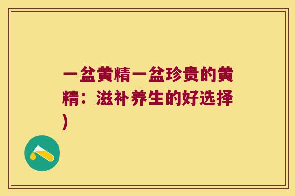 一盆黄精一盆珍贵的黄精:滋补养生的好选择) 一盆黄精一盆珍贵的黄精:滋补养生的好选择)