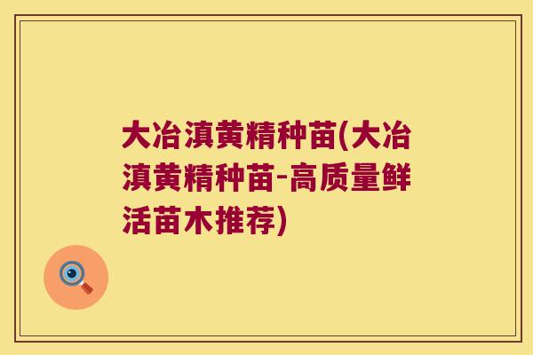 大冶滇黄精种苗(大冶滇黄精种苗-高质量鲜活苗木推荐)