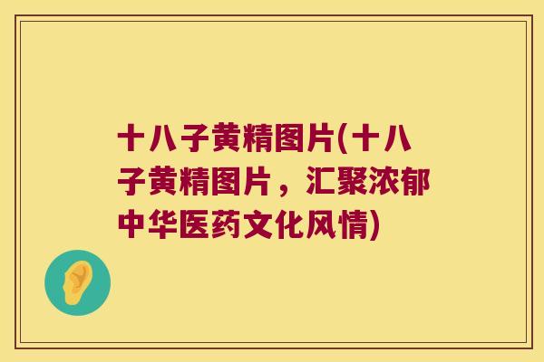 十八子黄精图片(十八子黄精图片,汇聚浓郁中华医药文化风情) 十八子黄精图片(十八子黄精图片,汇聚浓郁中华医药文化风情)