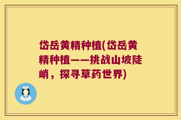 岱岳黄精种植(岱岳黄精种植——挑战山坡陡峭,探寻草药世界) 岱岳黄精种植(岱岳黄精种植——挑战山坡陡峭,探寻草药世界)
