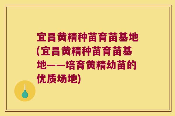 宜昌黄精种苗育苗基地(宜昌黄精种苗育苗基地——培育黄精幼苗的优质场地)