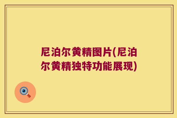 尼泊尔黄精图片(尼泊尔黄精独特功能展现) 尼泊尔黄精图片(尼泊尔黄精独特功能展现)