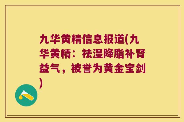 九华黄精信息报道(九华黄精：祛湿补益气，被誉为黄金宝剑)