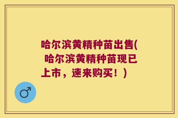 哈尔滨黄精种苗出售( 哈尔滨黄精种苗现已上市，速来购买！)