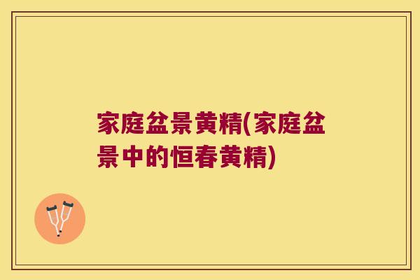 家庭盆景黄精(家庭盆景中的恒春黄精)