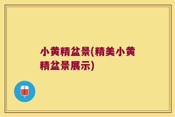 小黄精盆景(精美小黄精盆景展示) 小黄精盆景(精美小黄精盆景展示)