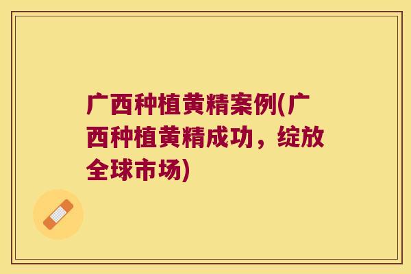 广西种植黄精案例(广西种植黄精成功，绽放全球市场)