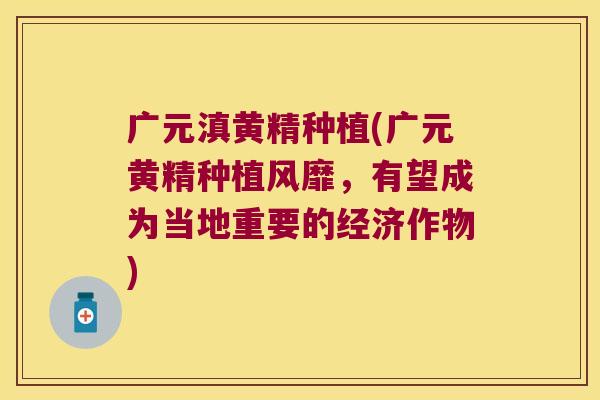 广元滇黄精种植(广元黄精种植风靡,有望成为当地重要的经济作物) 广元滇黄精种植(广元黄精种植风靡,有望成为当地重要的经济作物)