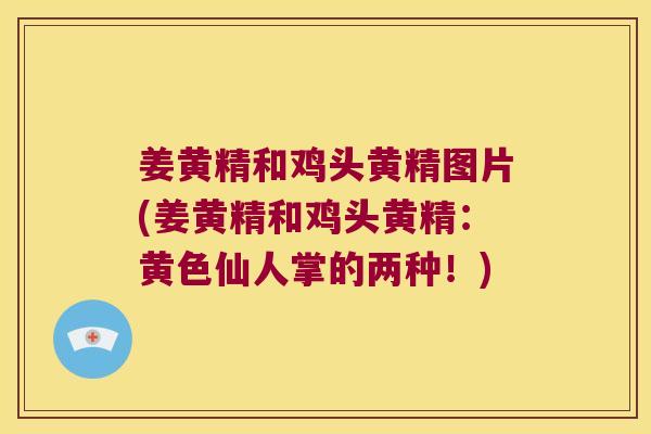 姜黄精和鸡头黄精图片(姜黄精和鸡头黄精：黄色仙人掌的两种！)