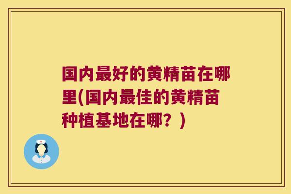 国内好的黄精苗在哪里(国内佳的黄精苗种植基地在哪？)