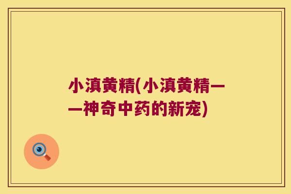 小滇黄精(小滇黄精——神奇的新宠)